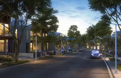 Tree-lined avenue at night with street lighting